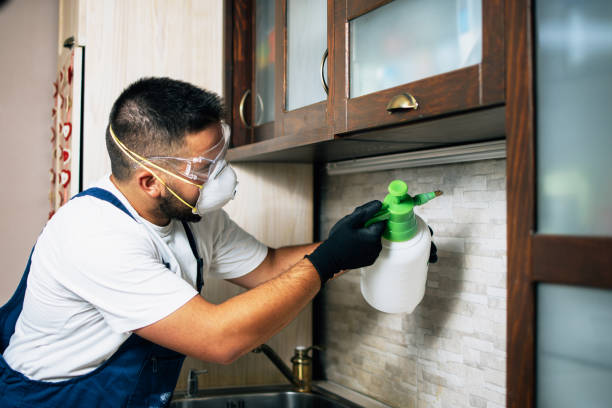 Pest Control for Restaurants in Lake Linden, MI