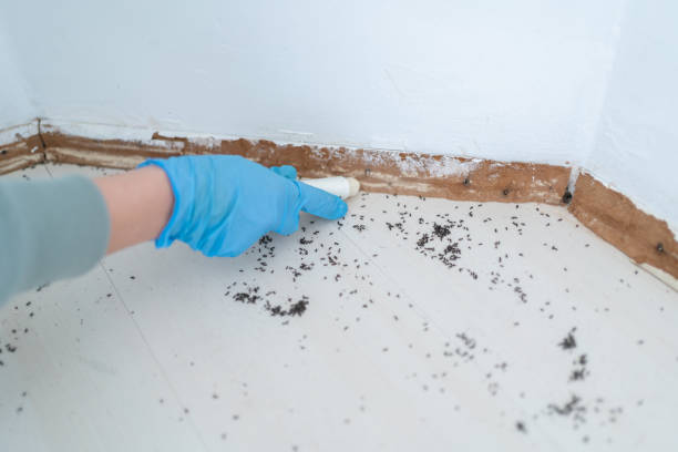 Best Pest Control Near Me  in Lake Linden, MI